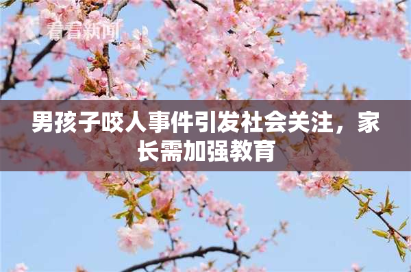 男孩子咬人事件引发社会关注，家长需加强教育