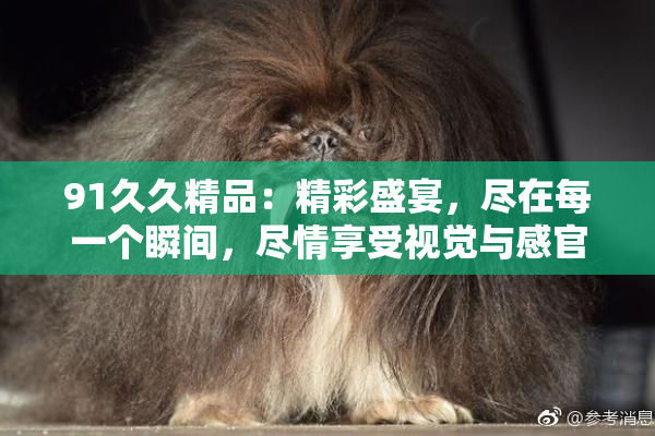 91久久精品：精彩盛宴，尽在每一个瞬间，尽情享受视觉与感官的双重震撼！