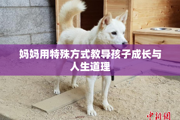 妈妈用特殊方式教导孩子成长与人生道理