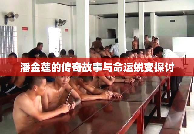 潘金莲的传奇故事与命运蜕变探讨