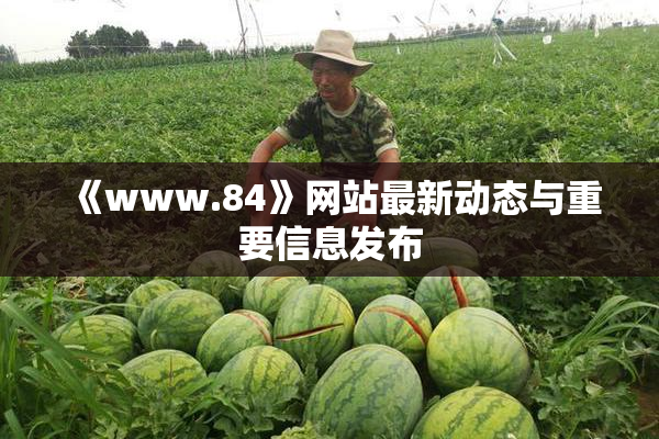 《www.84》网站最新动态与重要信息发布