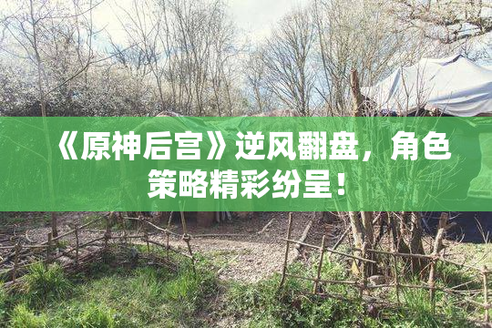 《原神后宫》逆风翻盘，角色策略精彩纷呈！