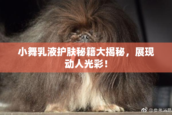 小舞乳液护肤秘籍大揭秘，展现动人光彩！