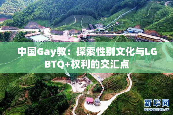 中国Gay教：探索性别文化与LGBTQ+权利的交汇点