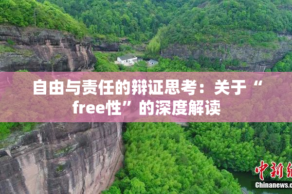 自由与责任的辩证思考：关于“free性”的深度解读