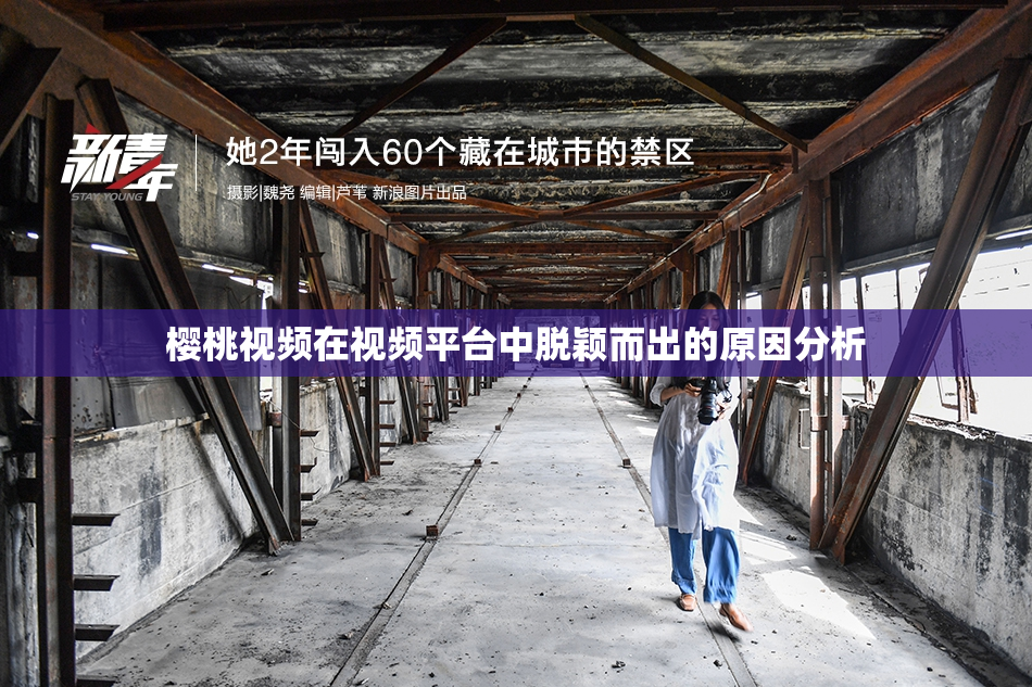 樱桃视频在视频平台中脱颖而出的原因分析