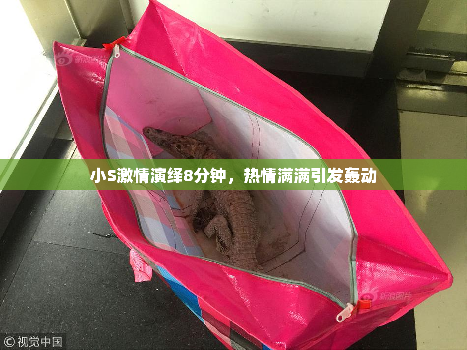 小S激情演绎8分钟，热情满满引发轰动