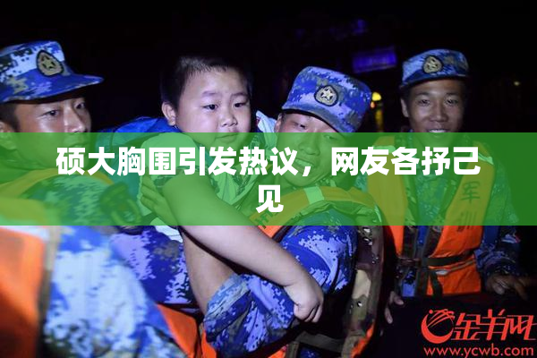 硕大胸围引发热议，网友各抒己见