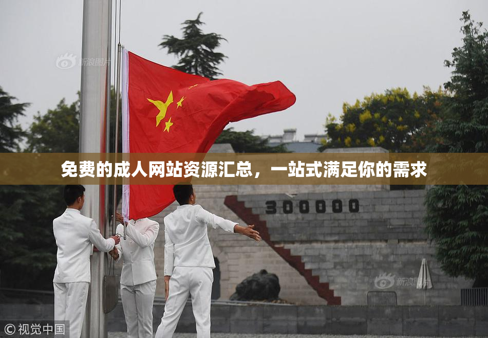 免费的成人网站资源汇总，一站式满足你的需求