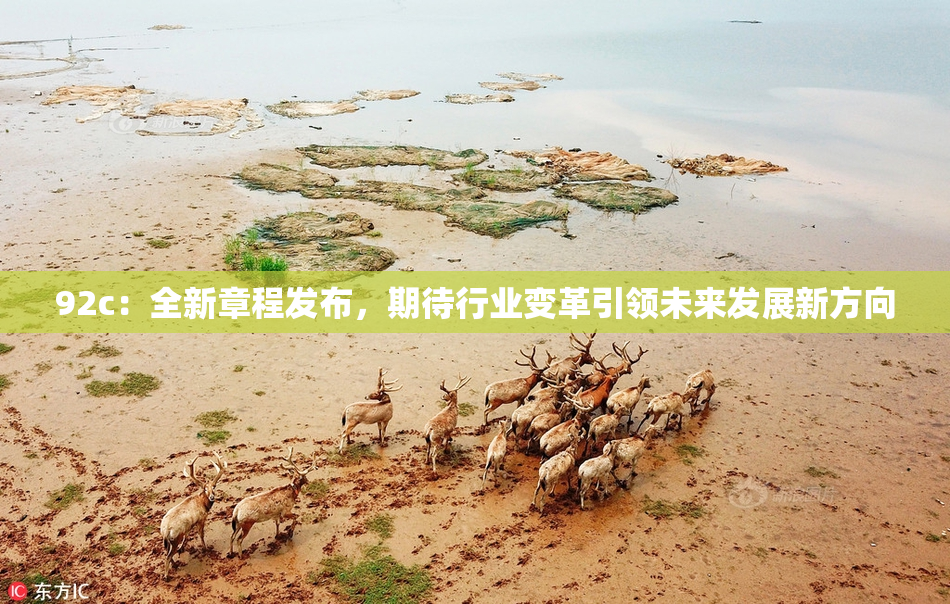 92c：全新章程发布，期待行业变革引领未来发展新方向