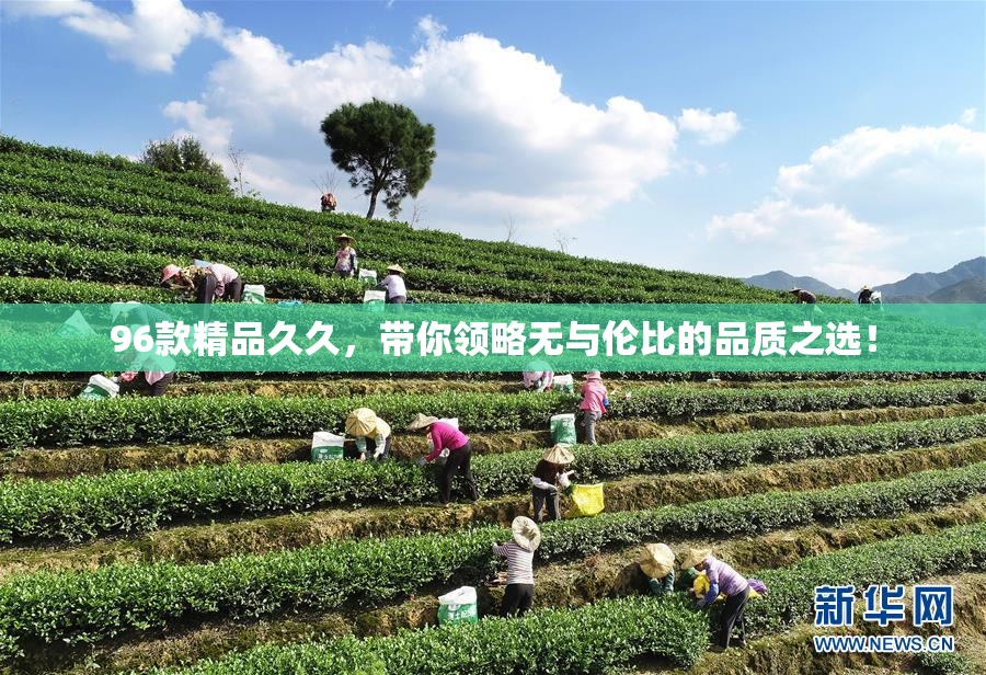 96款精品久久，带你领略无与伦比的品质之选！