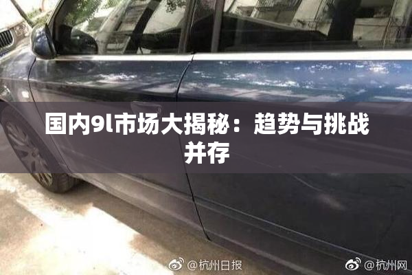 国内9l市场大揭秘：趋势与挑战并存