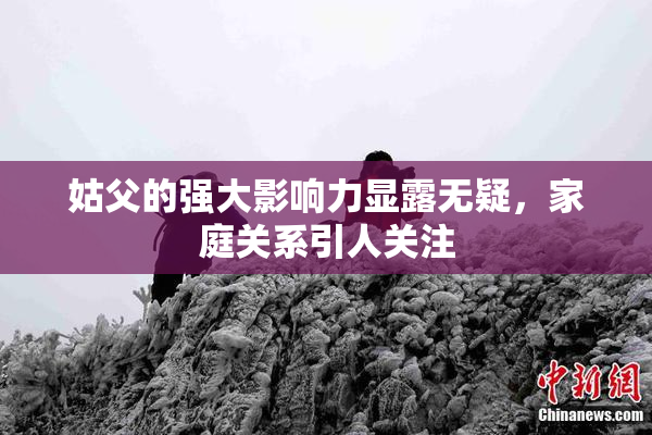 姑父的强大影响力显露无疑，家庭关系引人关注
