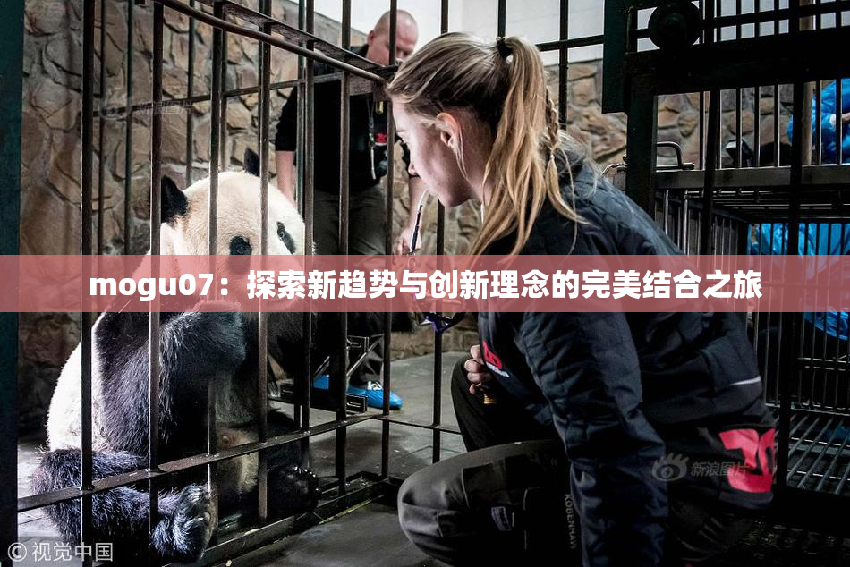 mogu07：探索新趋势与创新理念的完美结合之旅