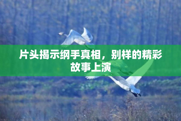 片头揭示纲手真相，别样的精彩故事上演