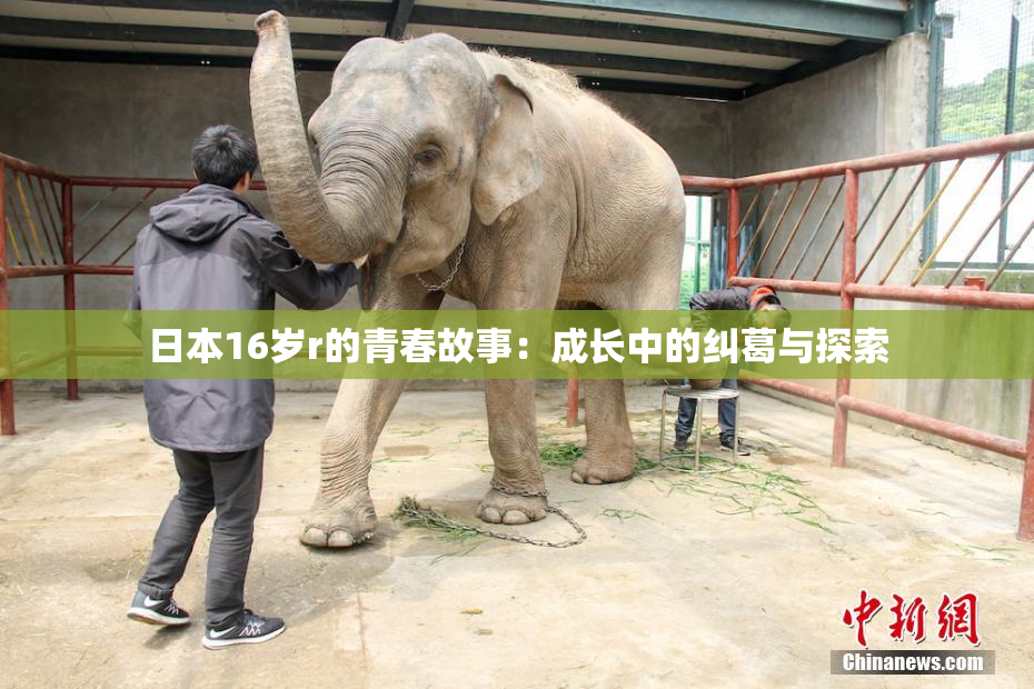 日本16岁r的青春故事：成长中的纠葛与探索