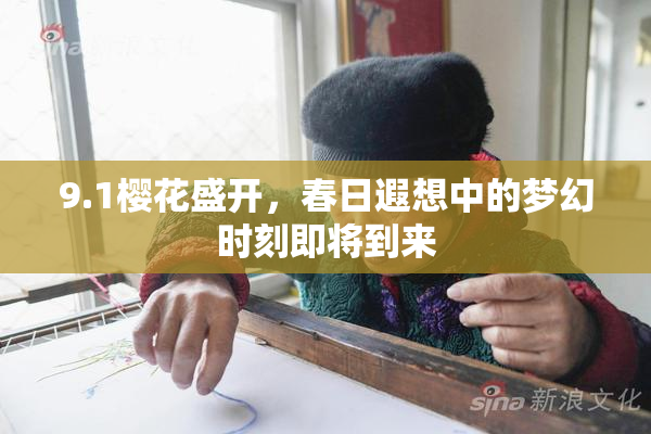 9.1樱花盛开，春日遐想中的梦幻时刻即将到来
