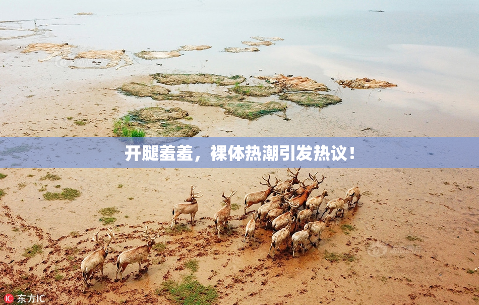 开腿羞羞，裸体热潮引发热议！