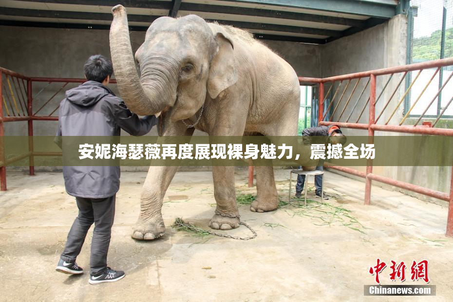 安妮海瑟薇再度展现裸身魅力，震撼全场
