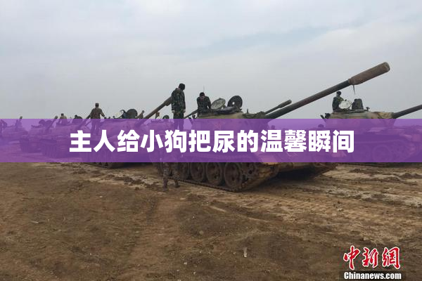 主人给小狗把尿的温馨瞬间