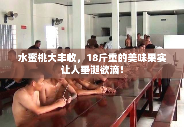 水蜜桃大丰收，18斤重的美味果实让人垂涎欲滴！