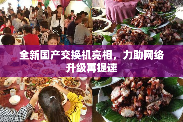 全新国产交换机亮相，力助网络升级再提速
