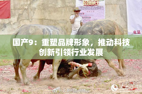 国产9：重塑品牌形象，推动科技创新引领行业发展