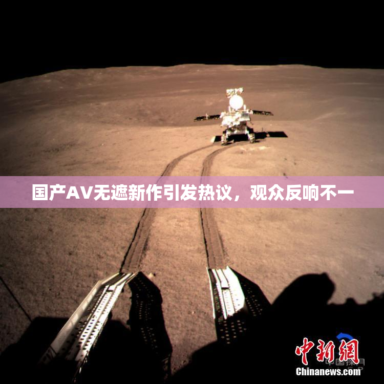 国产AV无遮新作引发热议，观众反响不一