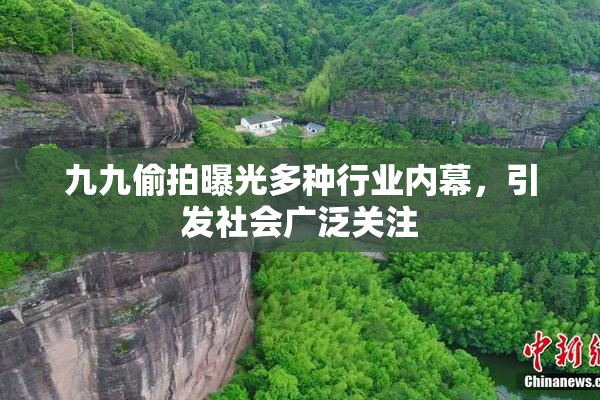 九九偷拍曝光多种行业内幕，引发社会广泛关注