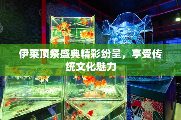 伊莱顶祭盛典精彩纷呈，享受传统文化魅力