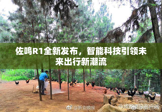 佐鸣R1全新发布，智能科技引领未来出行新潮流