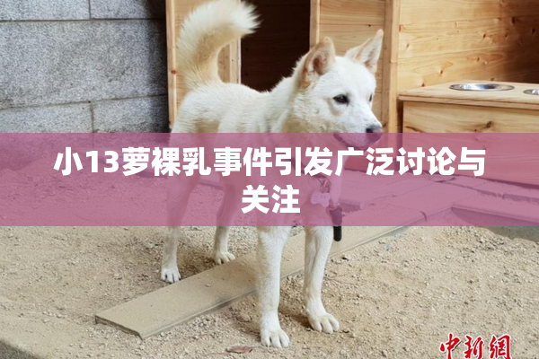 小13萝裸乳事件引发广泛讨论与关注