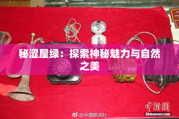 秘涩屋绿：探索神秘魅力与自然之美