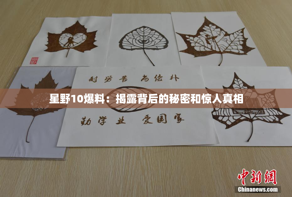 星野10爆料：揭露背后的秘密和惊人真相