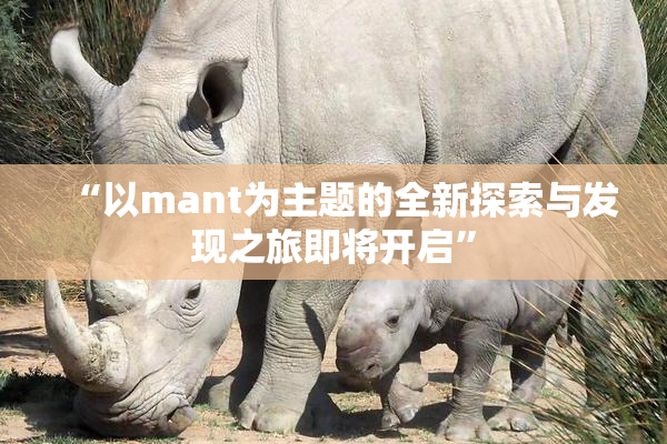 “以mant为主题的全新探索与发现之旅即将开启”