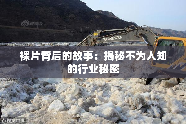 裸片背后的故事：揭秘不为人知的行业秘密
