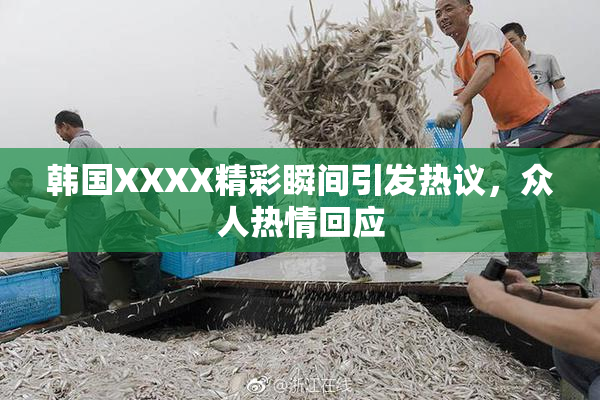 韩国XXXX精彩瞬间引发热议，众人热情回应