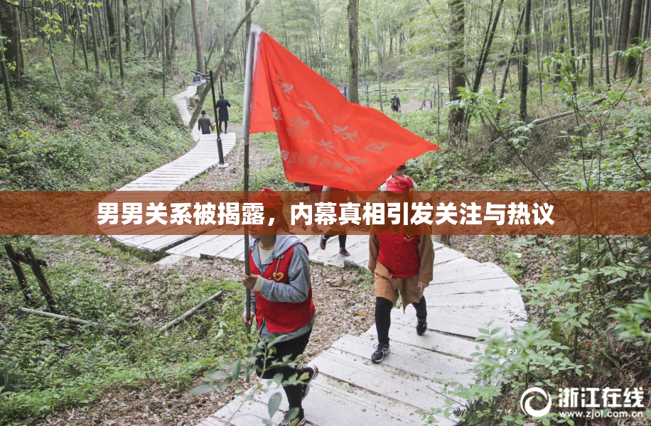 男男关系被揭露，内幕真相引发关注与热议