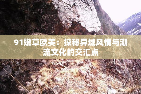 91嫩草欧美：探秘异域风情与潮流文化的交汇点
