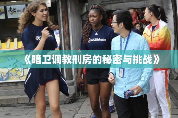 《暗卫调教刑房的秘密与挑战》