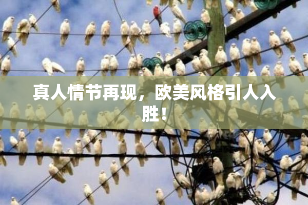 真人情节再现，欧美风格引人入胜！