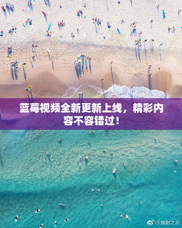 蓝莓视频全新更新上线，精彩内容不容错过！
