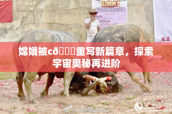 嫦娥被c🔞重写新篇章，探索宇宙奥秘再进阶