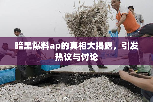 暗黑爆料ap的真相大揭露，引发热议与讨论