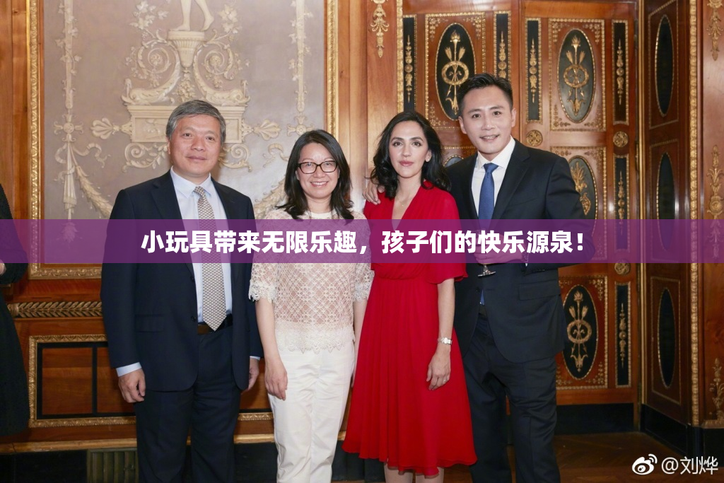 小玩具带来无限乐趣，孩子们的快乐源泉！