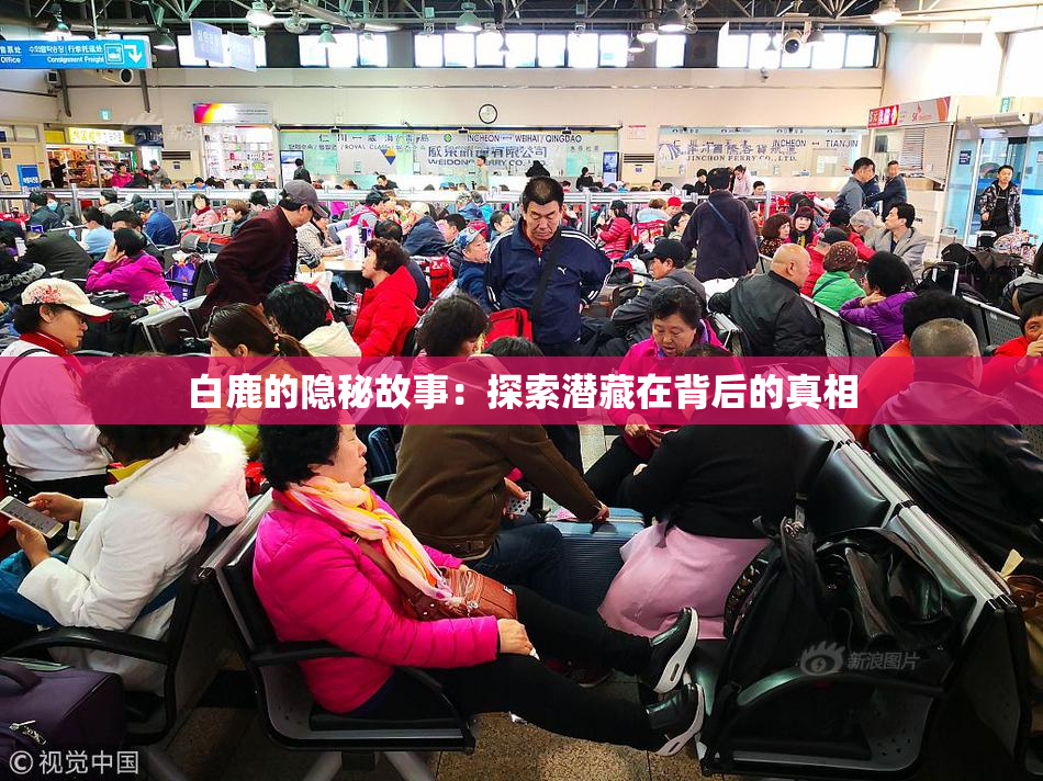 白鹿的隐秘故事：探索潜藏在背后的真相