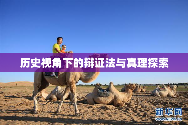 历史视角下的辩证法与真理探索