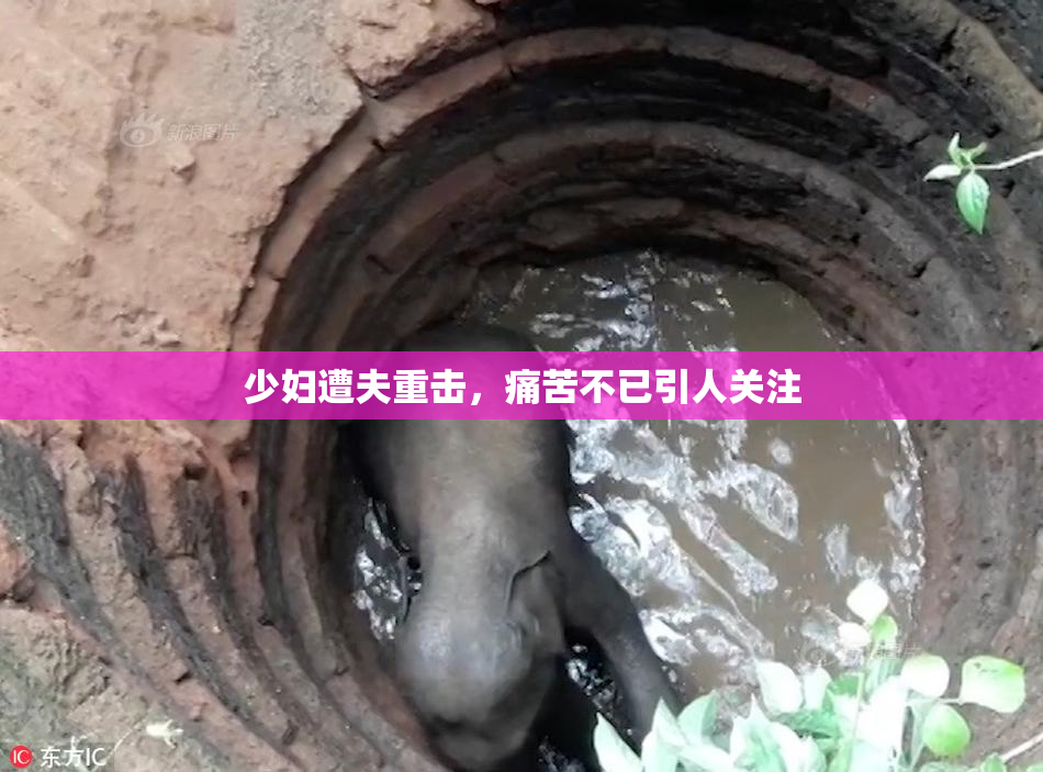 少妇遭夫重击，痛苦不已引人关注