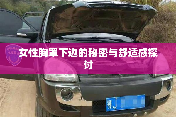 女性胸罩下边的秘密与舒适感探讨