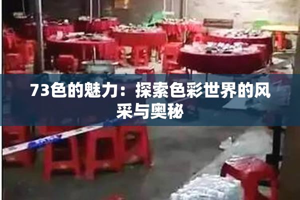 73色的魅力：探索色彩世界的风采与奥秘